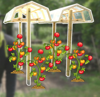 DIY Tomatenunterstand (Bauplan)